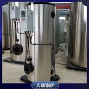 河南CWNS0.49-85/60-QY天然气热水乐鱼官网·网站-乐鱼（中国）
