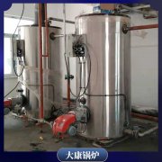 20吨燃油燃气乐鱼官网·网站-乐鱼（中国）太康银晨乐鱼官网·网站-乐鱼（中国）
