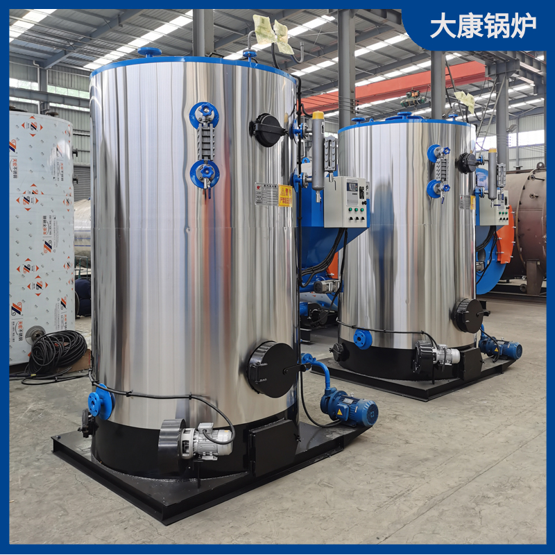 立式生物质蒸汽乐鱼官网·网站-乐鱼（中国）1