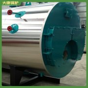 12吨立式燃气蒸汽乐鱼官网·网站-乐鱼（中国）银晨乐鱼官网·网站-乐鱼（中国）