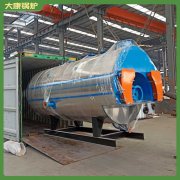 河南6吨燃气热水乐鱼官网·网站-乐鱼（中国）