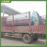 福建12t冷凝热水乐鱼官网·网站-乐鱼（中国）