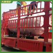 江苏CWNS2.8-85/60-QY液化气热水乐鱼官网·网站-乐鱼（中国）