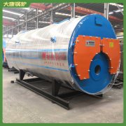 山东0.6mw真空热水乐鱼官网·网站-乐鱼（中国）