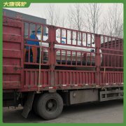 内蒙古CWNS4.2-85/60-QY燃气热水乐鱼官网·网站-乐鱼（中国）