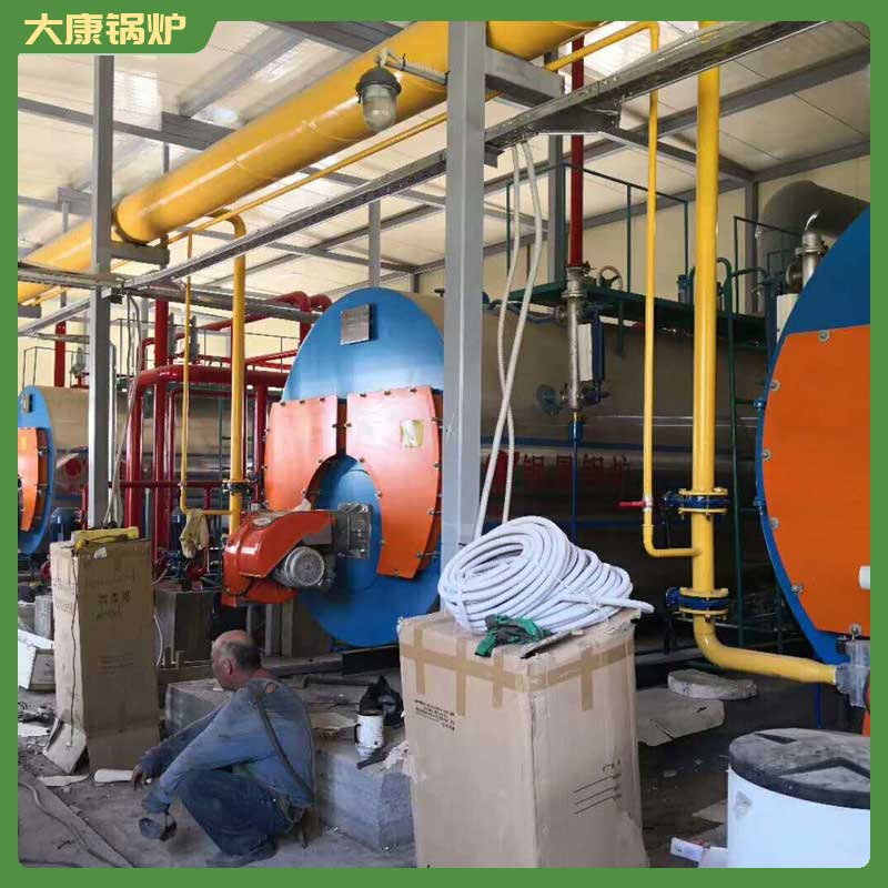 4吨生物质生物质乐鱼官网·网站-乐鱼（中国）